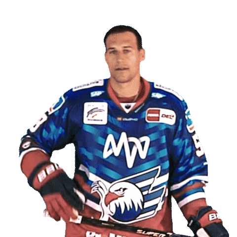 Eishockey Sticker by Adler Mannheim