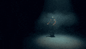 Circus Carousel GIF by SLANG