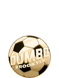 Dumbobk Sticker by Dumbo, Brooklyn