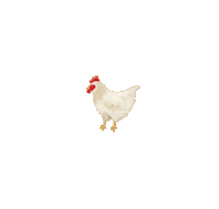 lisachiuqq food illustration animal chicken Sticker