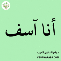 Middle East Wow GIF by VeganArabs