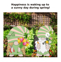 Flowers Spring GIF