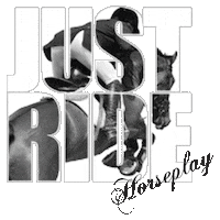Horse Just Ride Sticker by HorseplayApparel