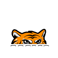 Tigre Sticker by Cosmo Tires