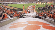 clemson tigers cfb playoff GIF by College Football Playoff