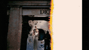 GIF by The Flight Club