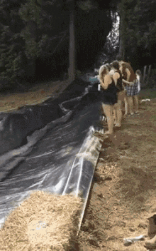 Dog Fail GIF by Kraken Images
