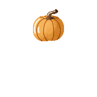 studiosinn pumpkin kürbis autumnvibes studiosinn Sticker
