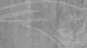 Oh Hello Reaction GIF by New England Patriots