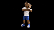 max mascote GIF by Minas Tênis Clube