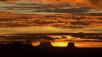 symphony for our world GIF by Nat Geo Wild 