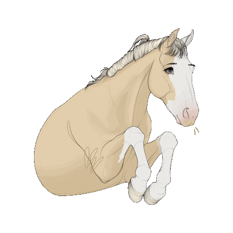 Horse Sticker