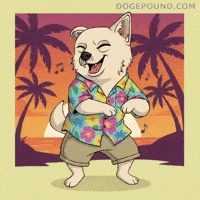 Happy Good Vibes GIF by Doge Pound