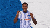 Bundesliga Redan GIF by Hertha BSC