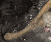 Water Flowers GIF