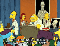 Season 1 GIF by The Simpsons