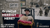 Knock Knock Hello GIF by MASTERPIECE | PBS