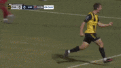 South Carolina Soccer GIF by Charleston Battery