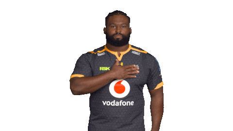 Rugby Sticker by Wasps