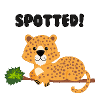 Leopard Sticker by Mandai Wildlife Reserve
