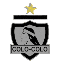 Blanco Y Negro Colo Sticker