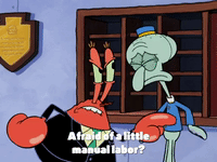 season 4 krusty towers GIF by SpongeBob SquarePants