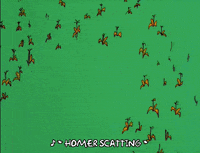 episode 5 field GIF