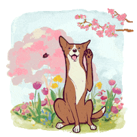 Love Dogs Photography Sticker by puppytales
