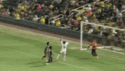 Guatemala Chs GIF by Charleston Battery