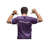 BCLuzern logo badminton blu bcluzern Sticker