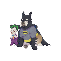 Dc Comics Art Sticker by Geekster Pets