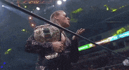 Chris Jericho ÄEw GIF by All Elite Wrestling on TNT