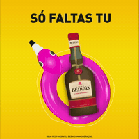 Party Relax GIF by Licor Beirão