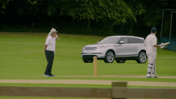 matt leblanc cricket GIF by Top Gear