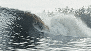 surf dude GIF by Digg