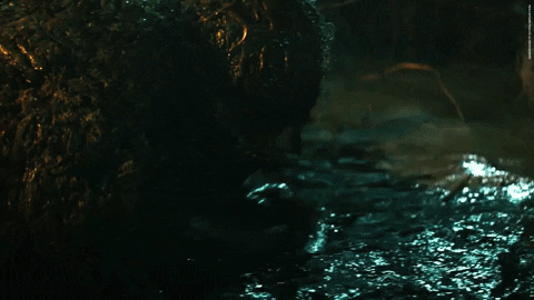 Swamp Thing Derekmears GIF by DC