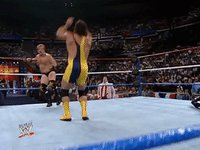 wwe sports wwe wrestling 1993 GIF