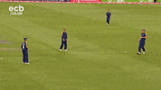 LancashireCricket cricket t20 t20 cricket twenty20 GIF