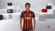 Posing Line Up GIF by Bundesliga