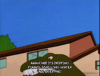 lisa simpson GIF