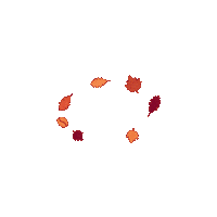 Fall Leaves Sticker by illy