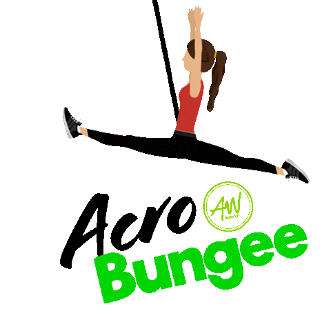 Bungeeworkout Bungeefitness Sticker by AWBungee