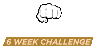 bossfitnessau fitness workout gym healthy Sticker