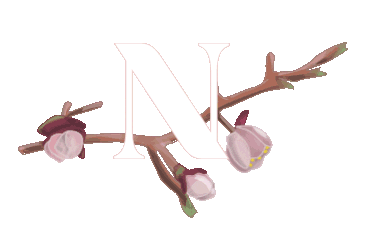 n Sticker by Natuzzi