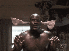 Shaquille Oneal What GIF