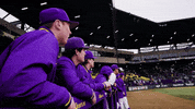 Yelling Lsu Baseball GIF by LSU Tigers