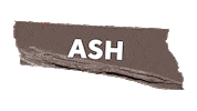 Ash Eyeshadow Sticker by Vice Cosmetics