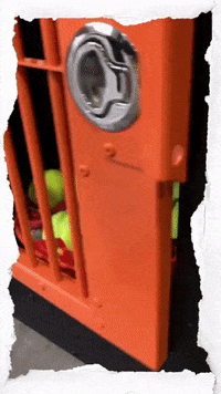 GIF by Impact Dog Crates