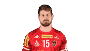 HandballAustria handball ohb handball austria fabian posch Sticker