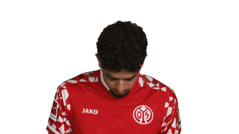 Look Up Mainz 05 Sticker by Bundesliga